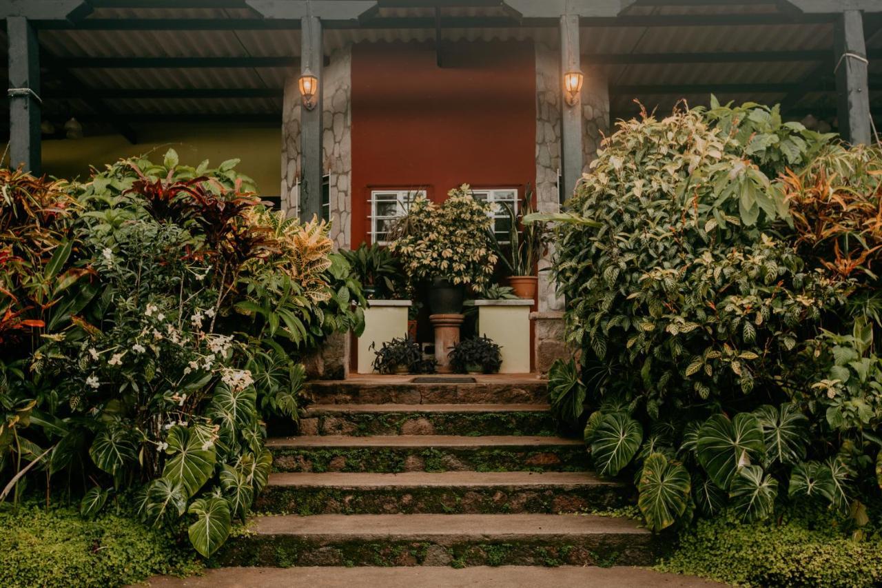 The Golden Frog Inn El Valle de Anton Ngoại thất bức ảnh