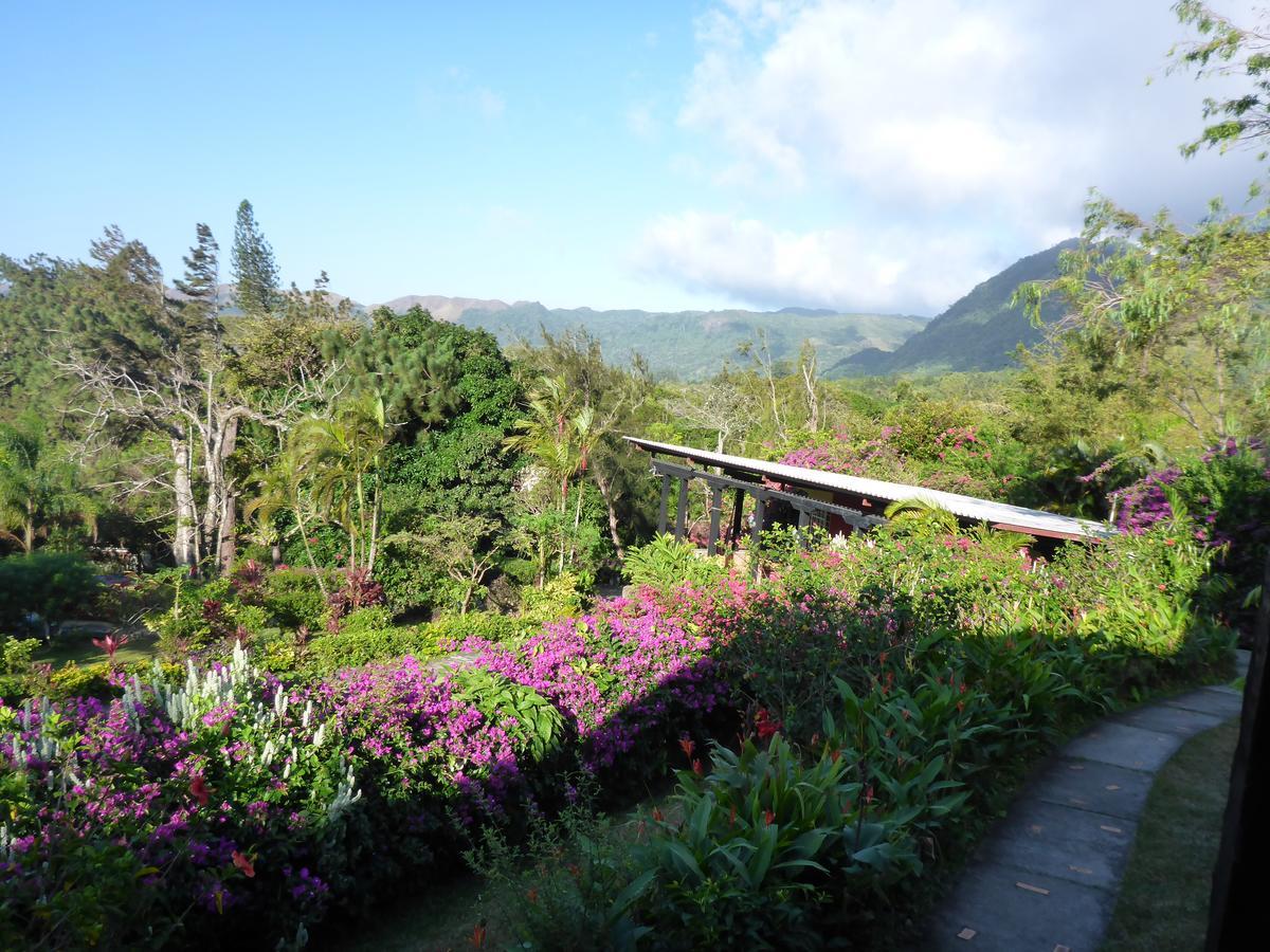 The Golden Frog Inn El Valle de Anton Ngoại thất bức ảnh