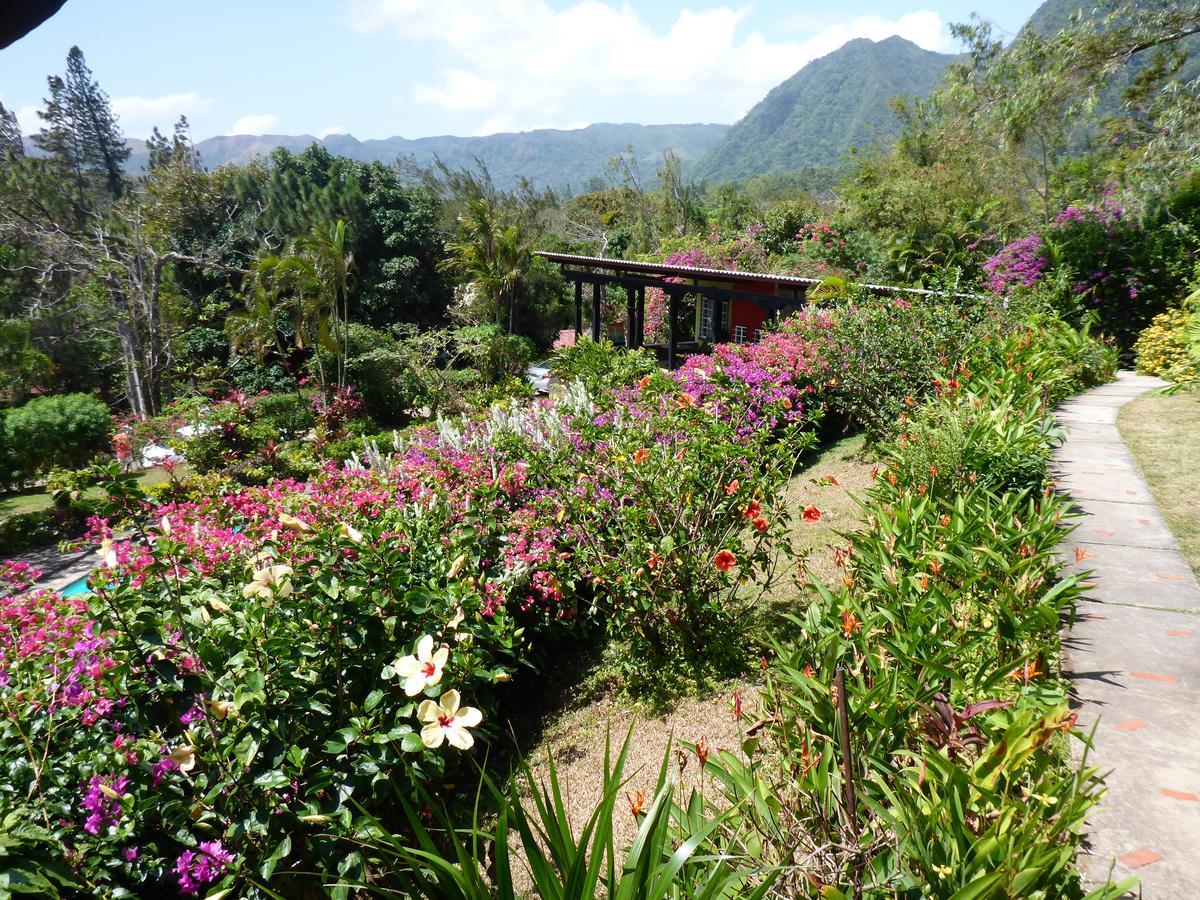The Golden Frog Inn El Valle de Anton Ngoại thất bức ảnh