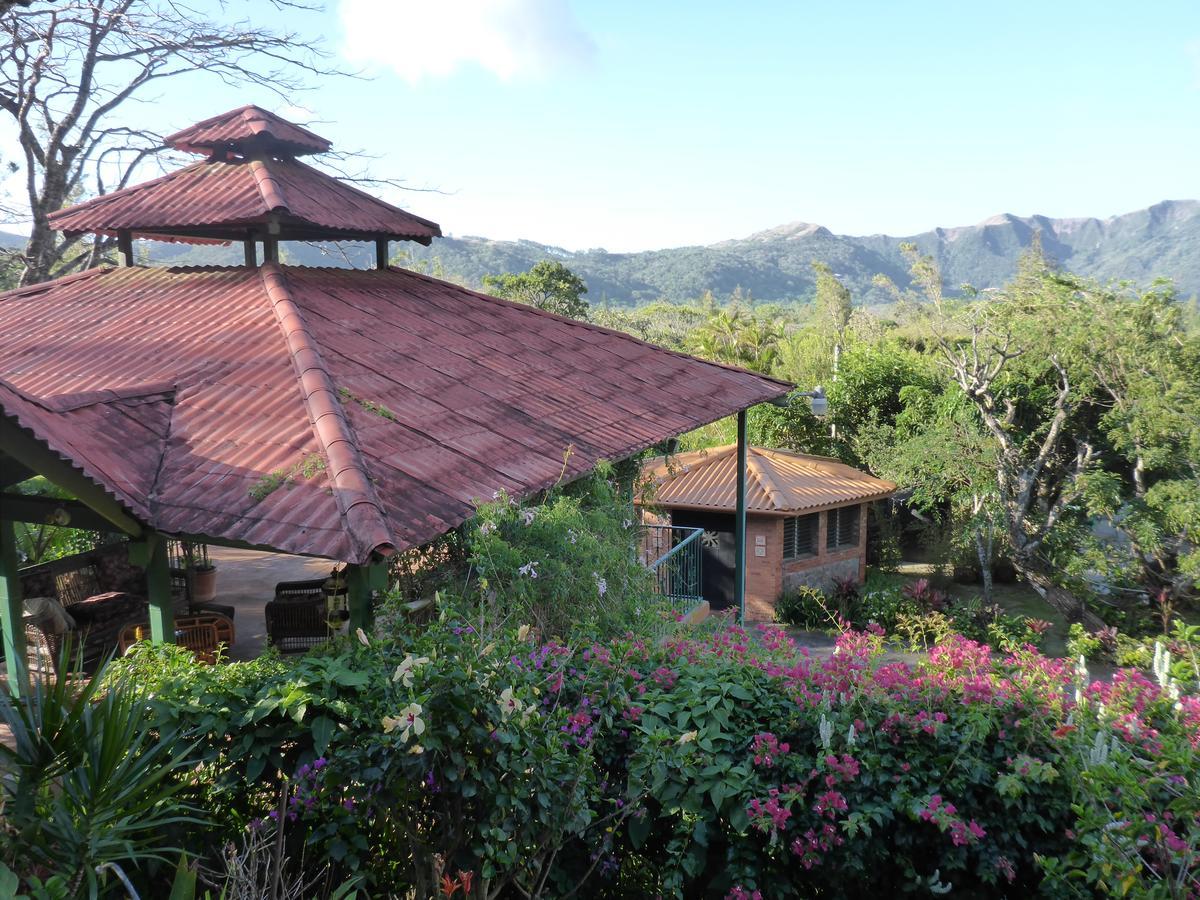 The Golden Frog Inn El Valle de Anton Ngoại thất bức ảnh