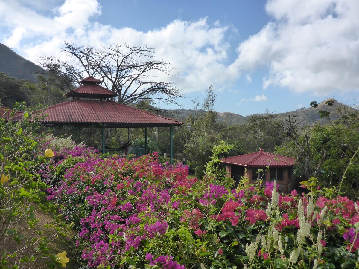 The Golden Frog Inn El Valle de Anton Ngoại thất bức ảnh