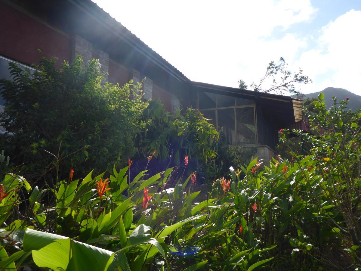 The Golden Frog Inn El Valle de Anton Ngoại thất bức ảnh