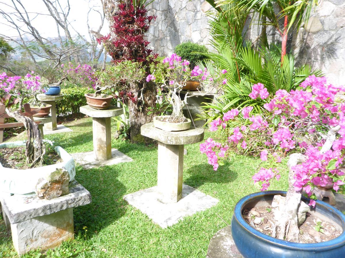 The Golden Frog Inn El Valle de Anton Ngoại thất bức ảnh